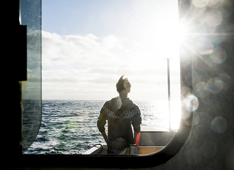 Isländsk natur och hav